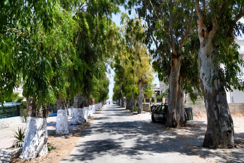 Tag-01-Kos-Stadt-Web-008