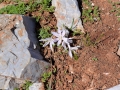 Griechenland 2017 Kreta - 0545