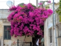 Griechenland 2017 Kreta - 0269