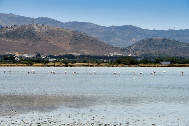 Tag-02-2-Tigaki-Salzsee-159