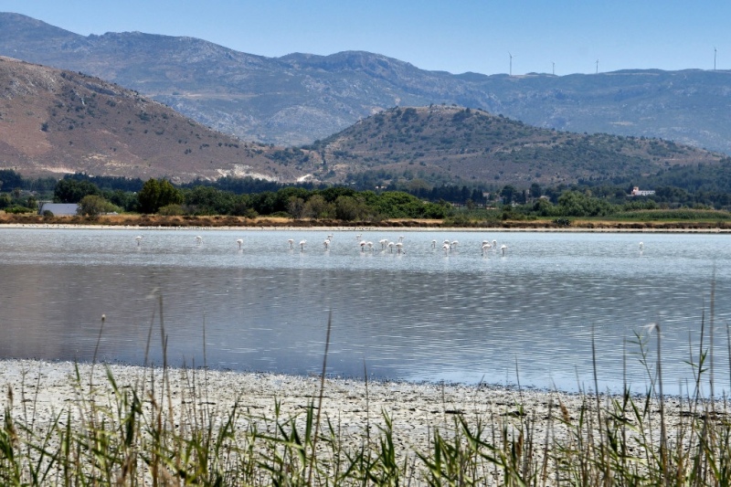 Tag-02-2-Tigaki-Salzsee-160