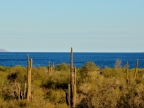 mexiko-2012-tag-10-fahrt-guerrero-negro-1352