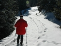 suedtirol07_seiseralm-109