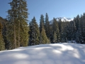 suedtirol07_seiseralm-112