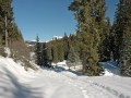 suedtirol07_seiseralm-114