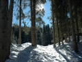 suedtirol07_seiseralm-130