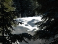suedtirol07_seiseralm-136