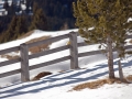 suedtirol07_seiseralm-151