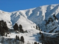 suedtirol07_seiseralm-157