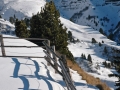 suedtirol07_seiseralm-167