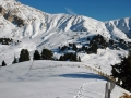suedtirol07_seiseralm-174