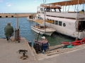 jaffa-1107-434