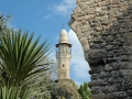 jaffa-1107-442