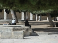 jerusalem-1107-256