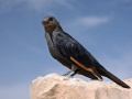 masada-1107-175