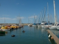 tel_aviv-1107-482