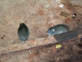 mumbai_stadt_0207-191