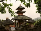 papua-bali-2012-0091