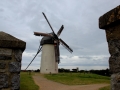 Irland 49 Skerries Mills - 1282
