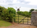 Irland 49 Skerries Mills - 1283