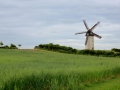 Irland 49 Skerries Mills - 1287