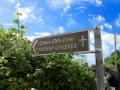 Irland 06 Ahenny - 0273