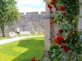 Irland 08 Cahir - 0322