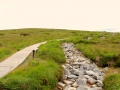 Irland 44 Ceide-Fields - 1118