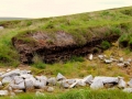 Irland 44 Ceide-Fields - 1119