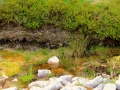 Irland 44 Ceide-Fields - 1120