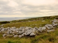 Irland 44 Ceide-Fields - 1124