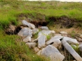 Irland 44 Ceide-Fields - 1125