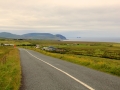 Irland 44 Ceide-Fields - 1129