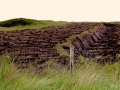 Irland 44 Ceide-Fields - 1138