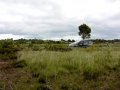 Irland 44 Ceide-Fields - 1148