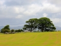 Irland 46 Carrowmore - 1039