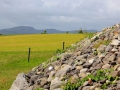 Irland 46 Carrowmore - 1046