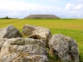 Irland 46 Carrowmore - 1055