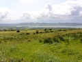 Irland 47 Knockn Area - 1064