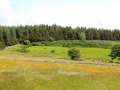 Irland 47 Knockn Area - 1065