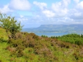 Irland 47 Knockn Area - 1066