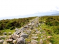 Irland 47 Knockn Area - 1072