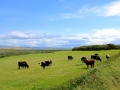 Irland 25 Fahrt - 0658