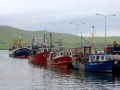 Irland 32 Dingle - 0762