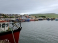 Irland 32 Dingle - 0763