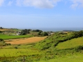 Irland 13 Dromberg - 0436