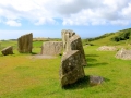 Irland 13 Dromberg - 0442