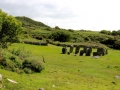Irland 13 Dromberg - 0444