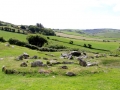 Irland 13 Dromberg - 0445