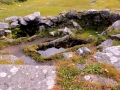 Irland 13 Dromberg - 0446